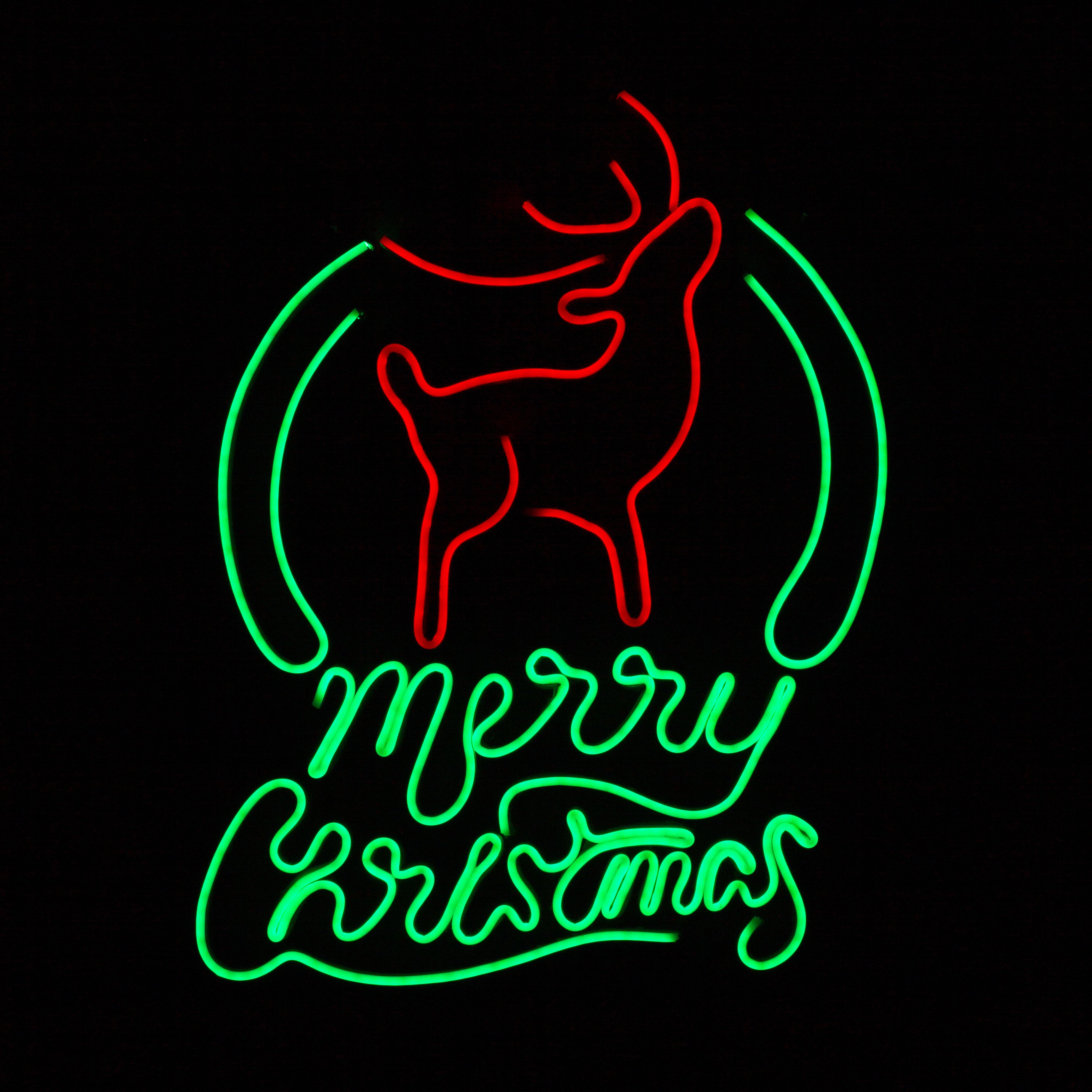 Neon Led verlichting - Hert / Merry Christmas - 55 x 50 cm - Pochon